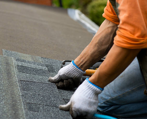 Quick and Trustworthy Emergency Roof Repair Services in New Castle, DE